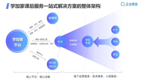 雙減政策下的科技賦能 河南網絡技術服務如何助力學校課后服務提質增效